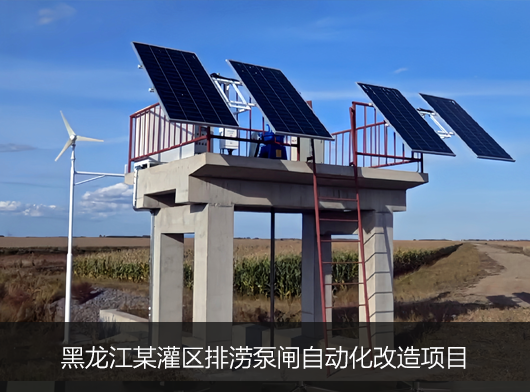 黑龙江某涝区泵、闸站联排联控项目案例